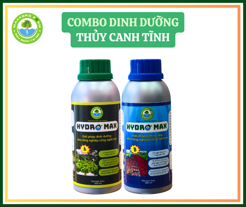 AB - thủy canh tĩnh