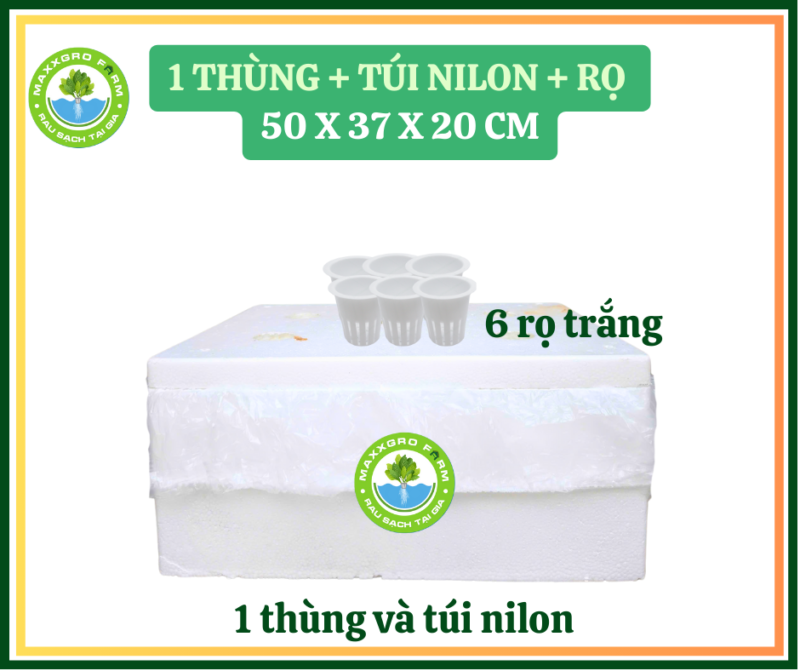 Kit 1 Thùng - Không AB